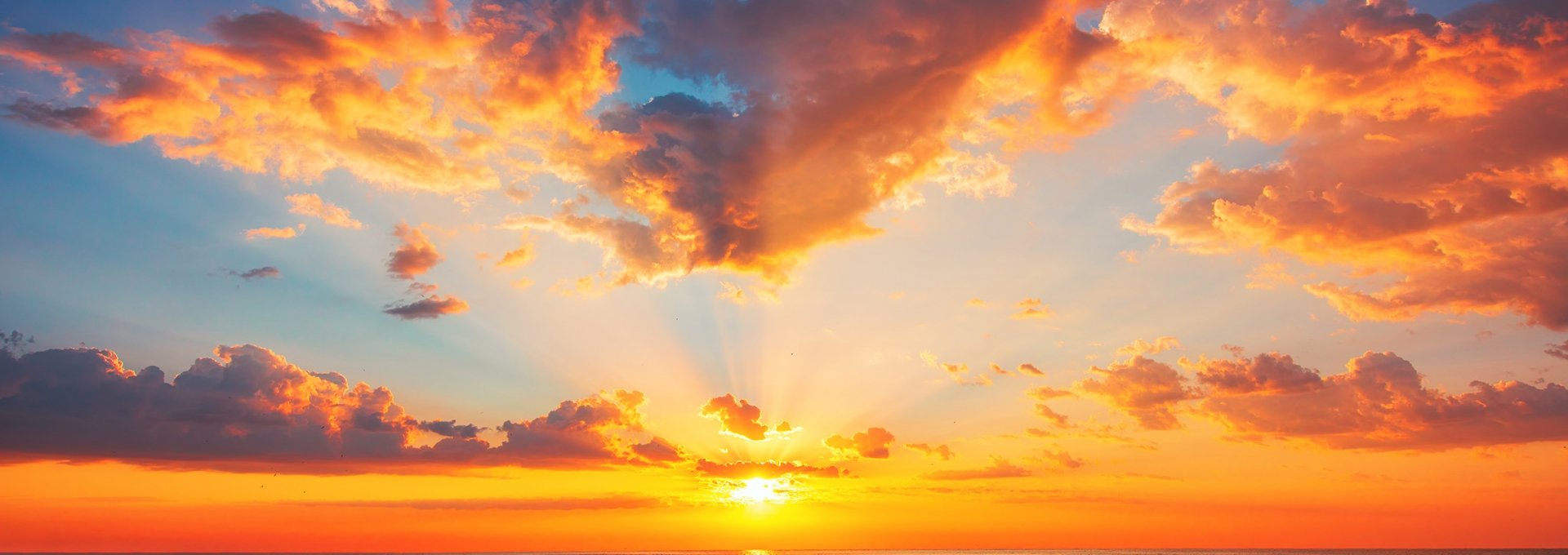 Getting Here & Around