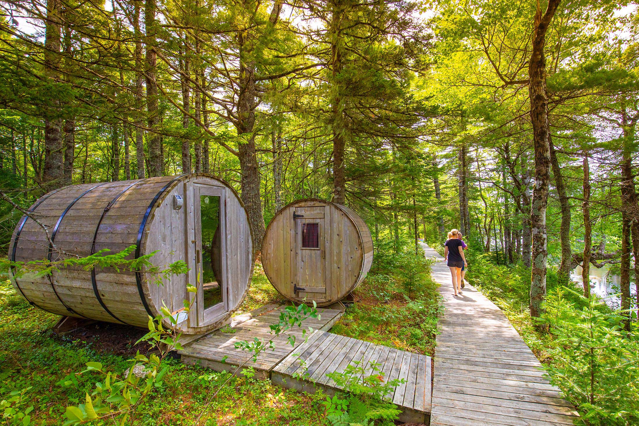 Two women walking in a lush green forest