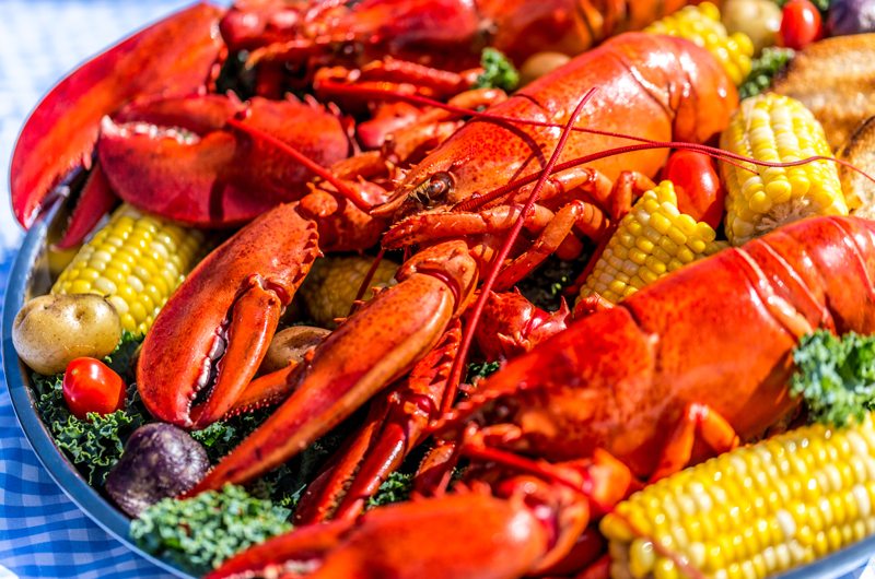 Savour the Sea