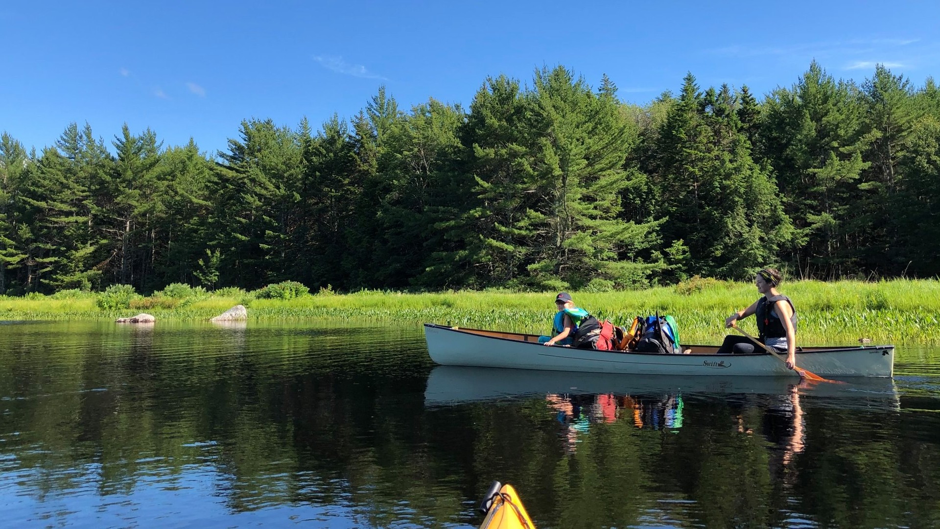 Alder Wilderness Experiences