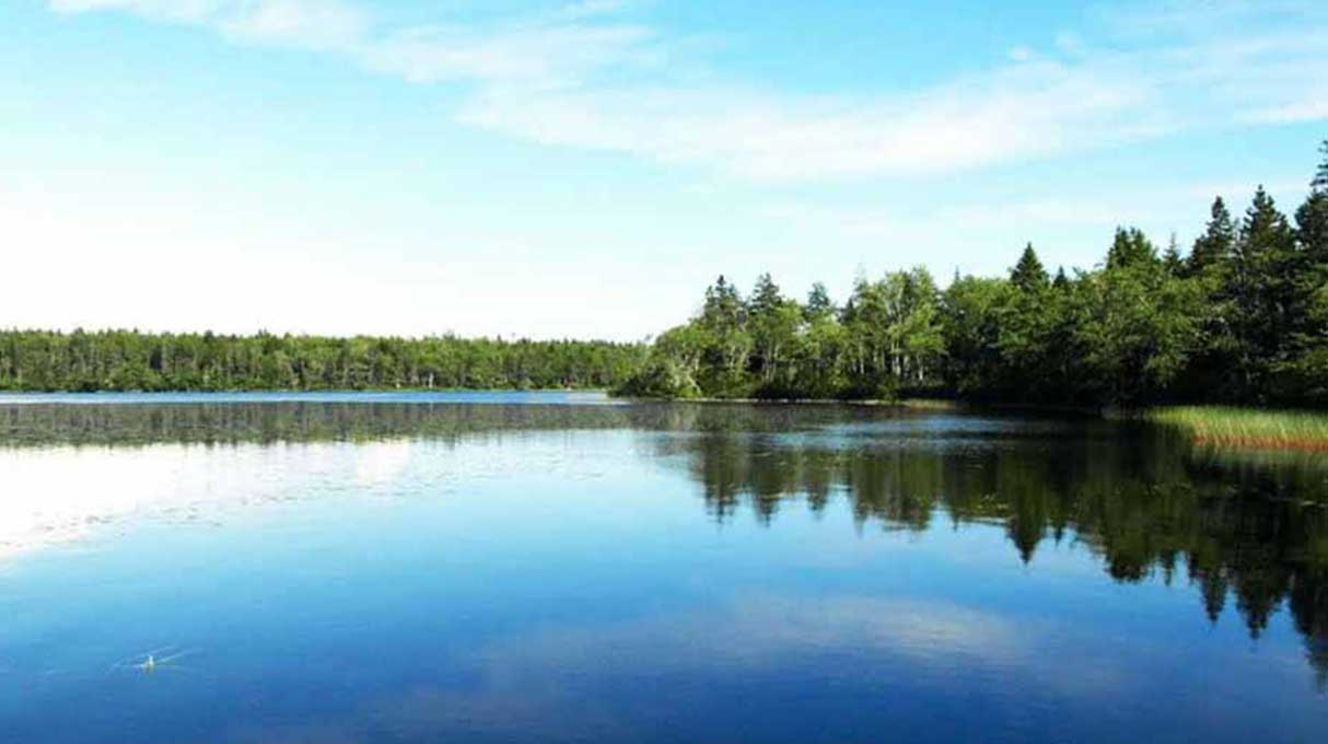 Castle Lake Campground & Cottages 9