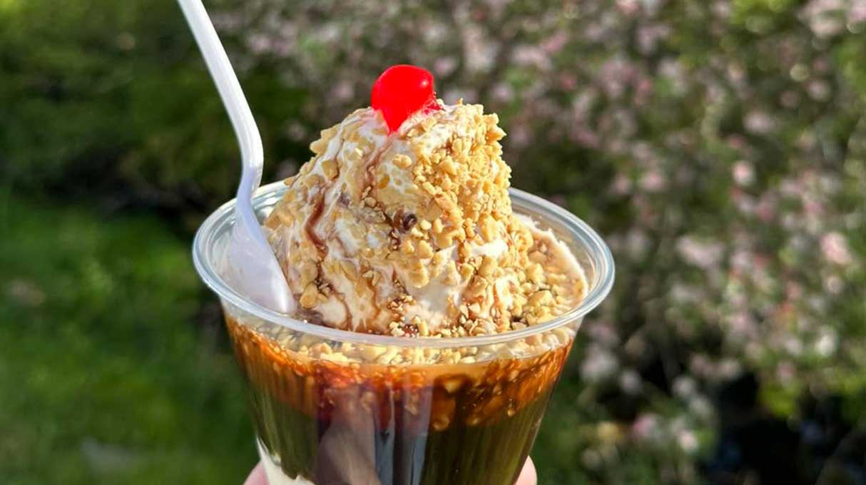 Creamy Treat Ice Cream Ltd. 6