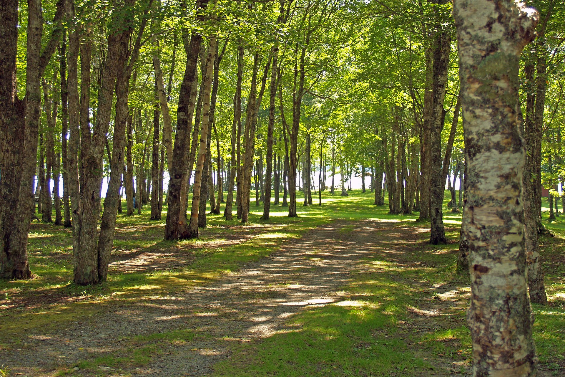 Ellenwood Lake Provincial Park 1