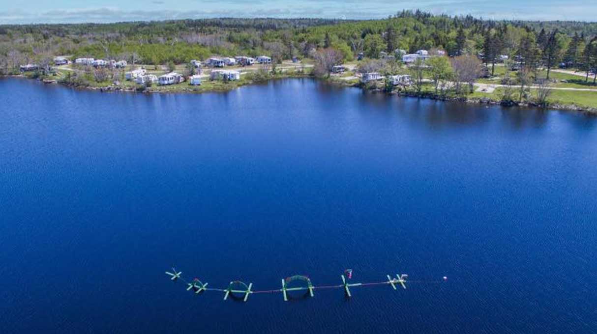Lake Breeze Campground & Cottages 5