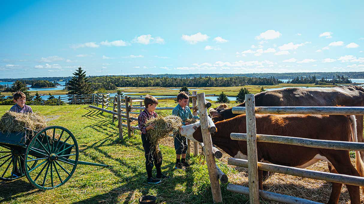 Le Village Historique Acadien de la Nouvelle-Écosse 3