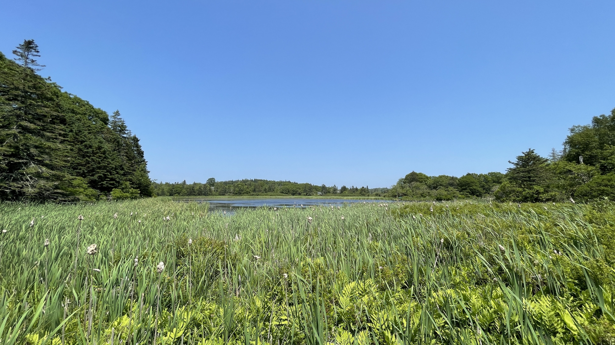 Sentier interprétatif Stan O’Brien