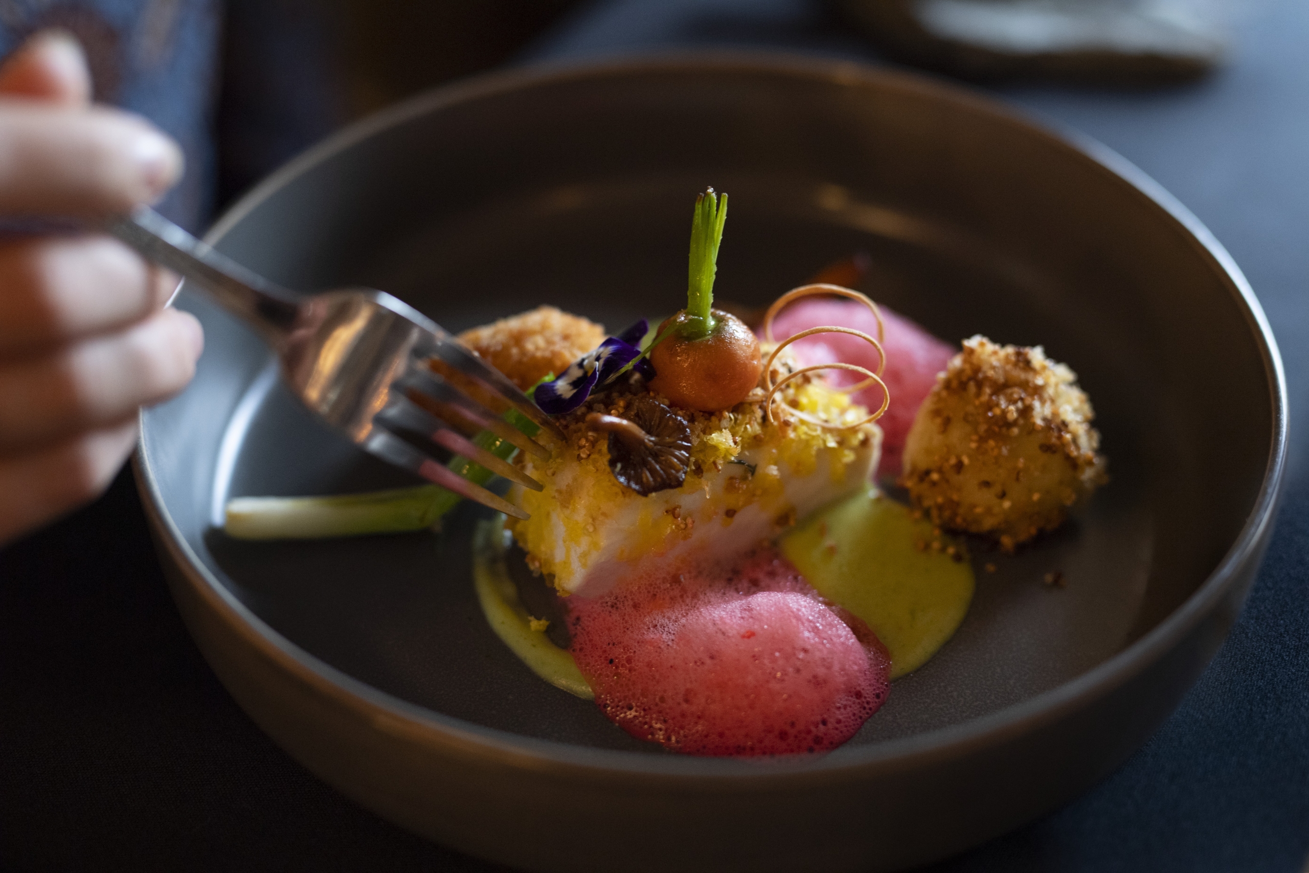 Starlight Culinary Escape 5