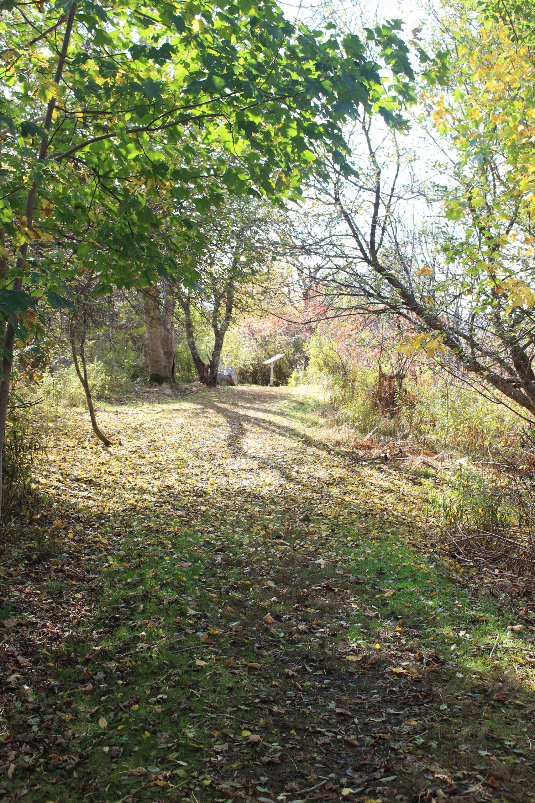Tkipok Trail 3