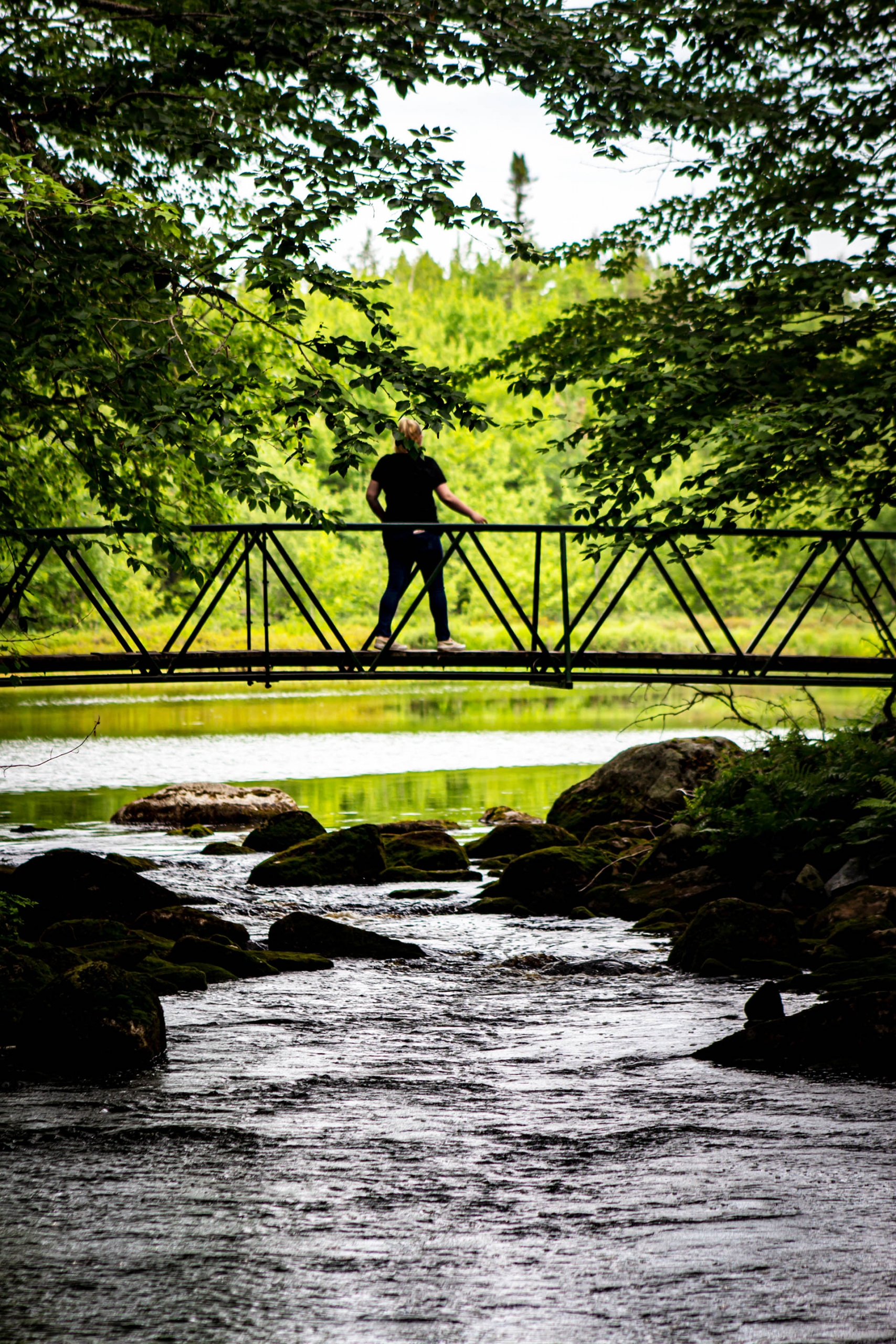 Trout Point Lodge 16