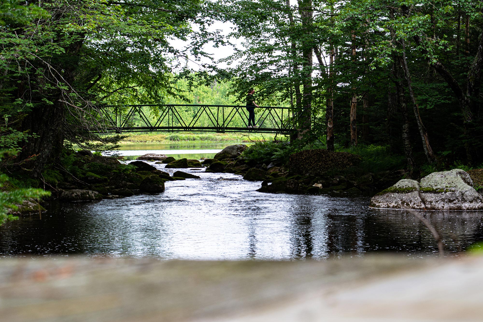 Trout Point Lodge 16