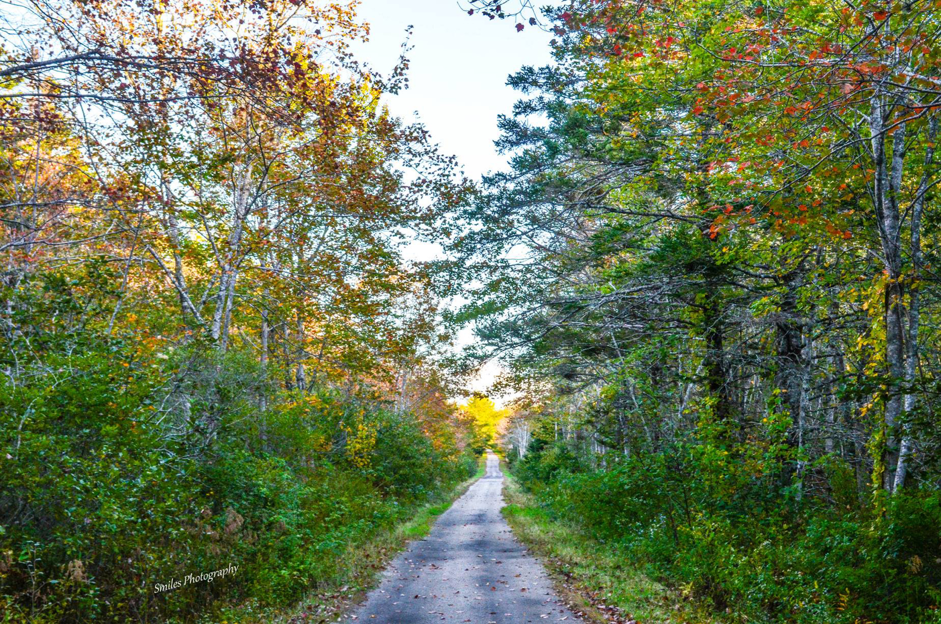 Tusket Falls Walking Trail 3