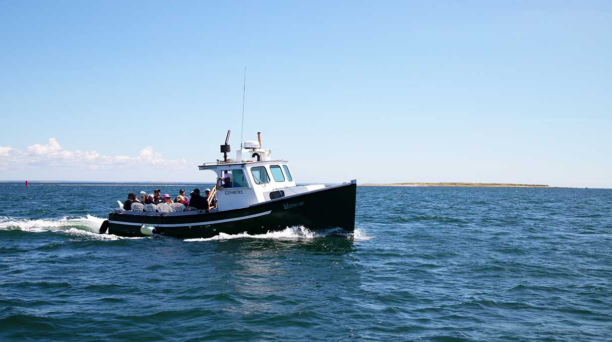 Tusket Island Tours - Deep Sea Fishing Charters 2