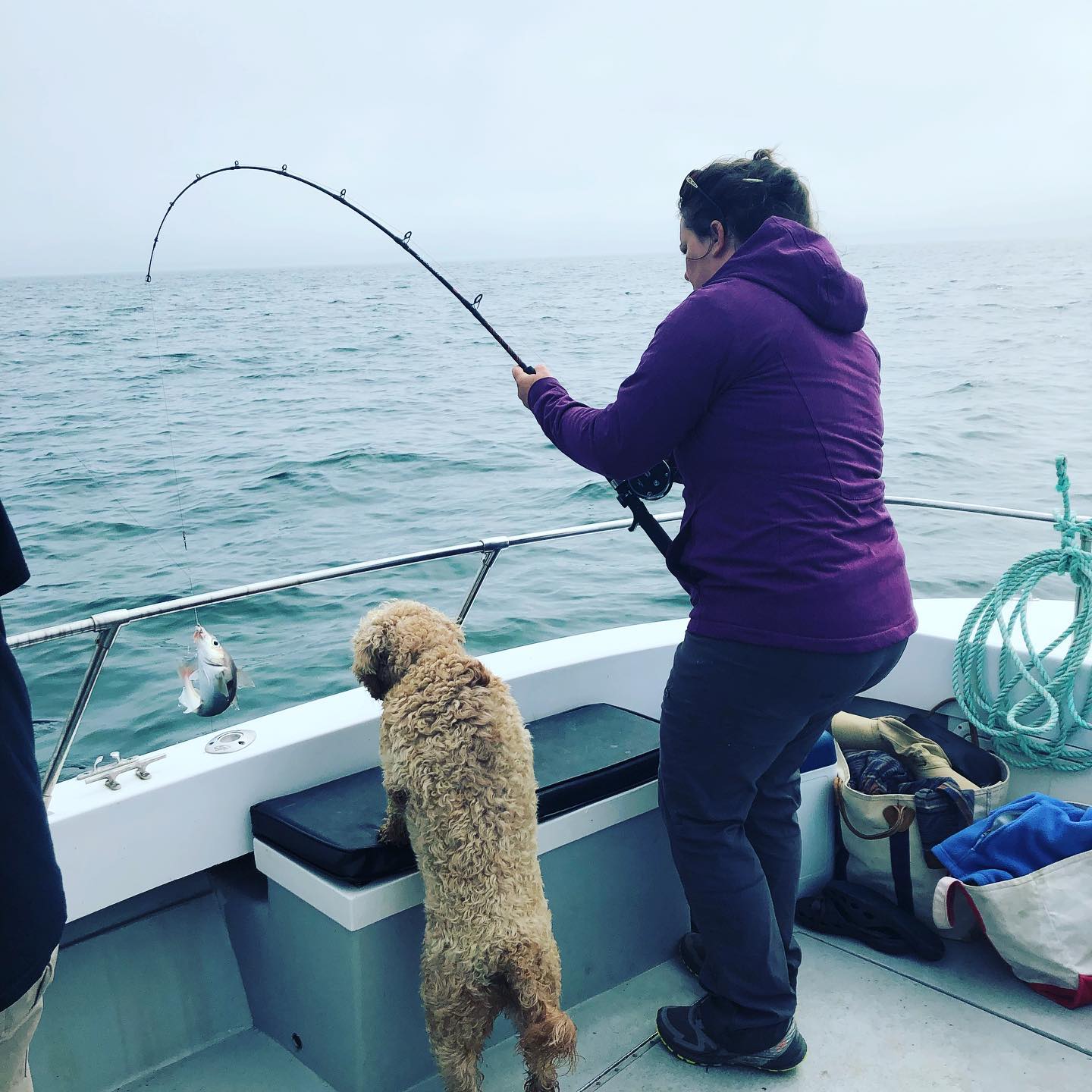 https://www.yarmouthandacadianshores.com/content/uploads/2021/05/tusket-island-tours-deep-sea-fishing-charters.jpg