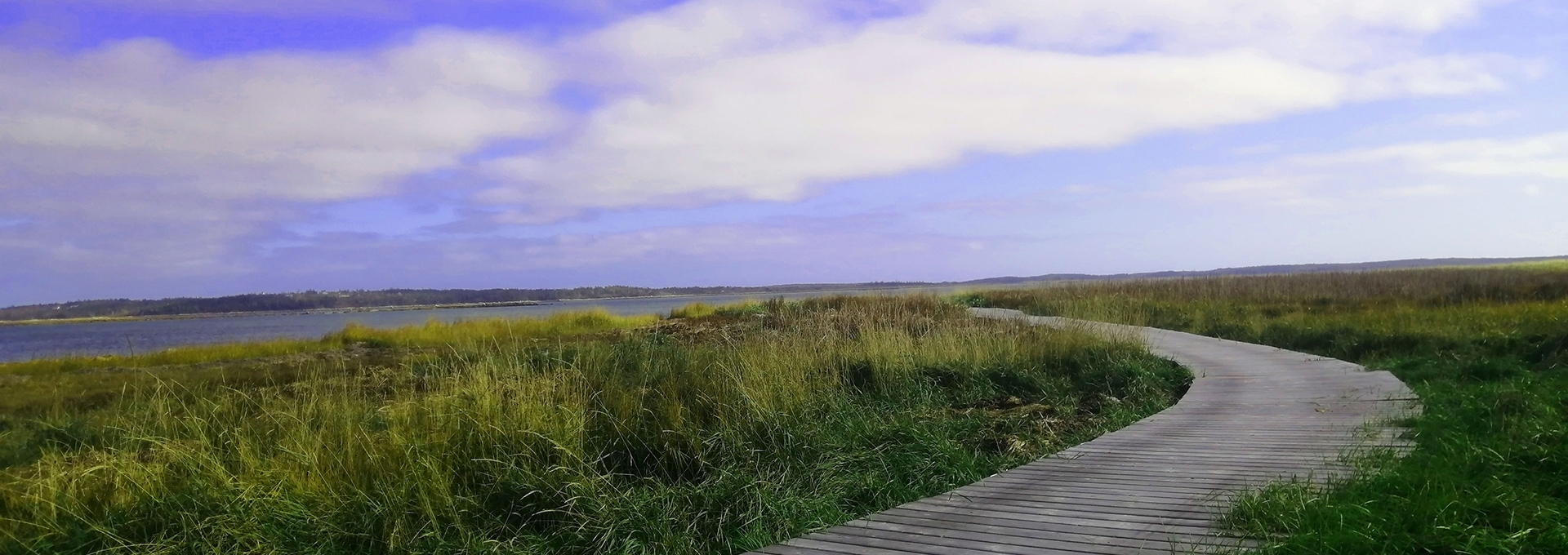 Wedgeport Nature Trail