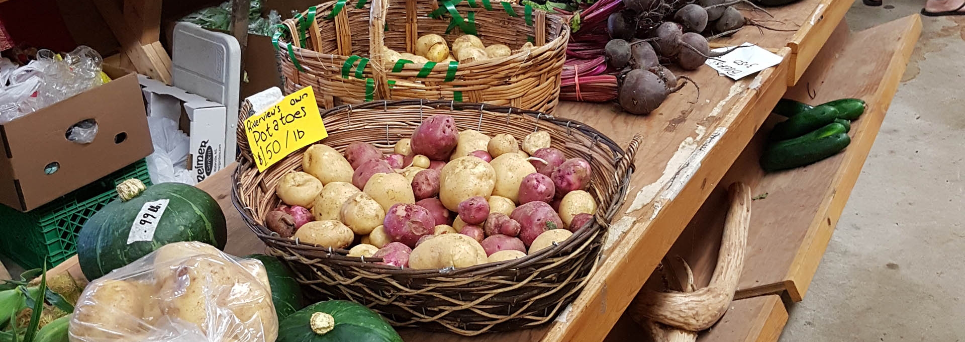 Yarmouth Farmer's Market 6