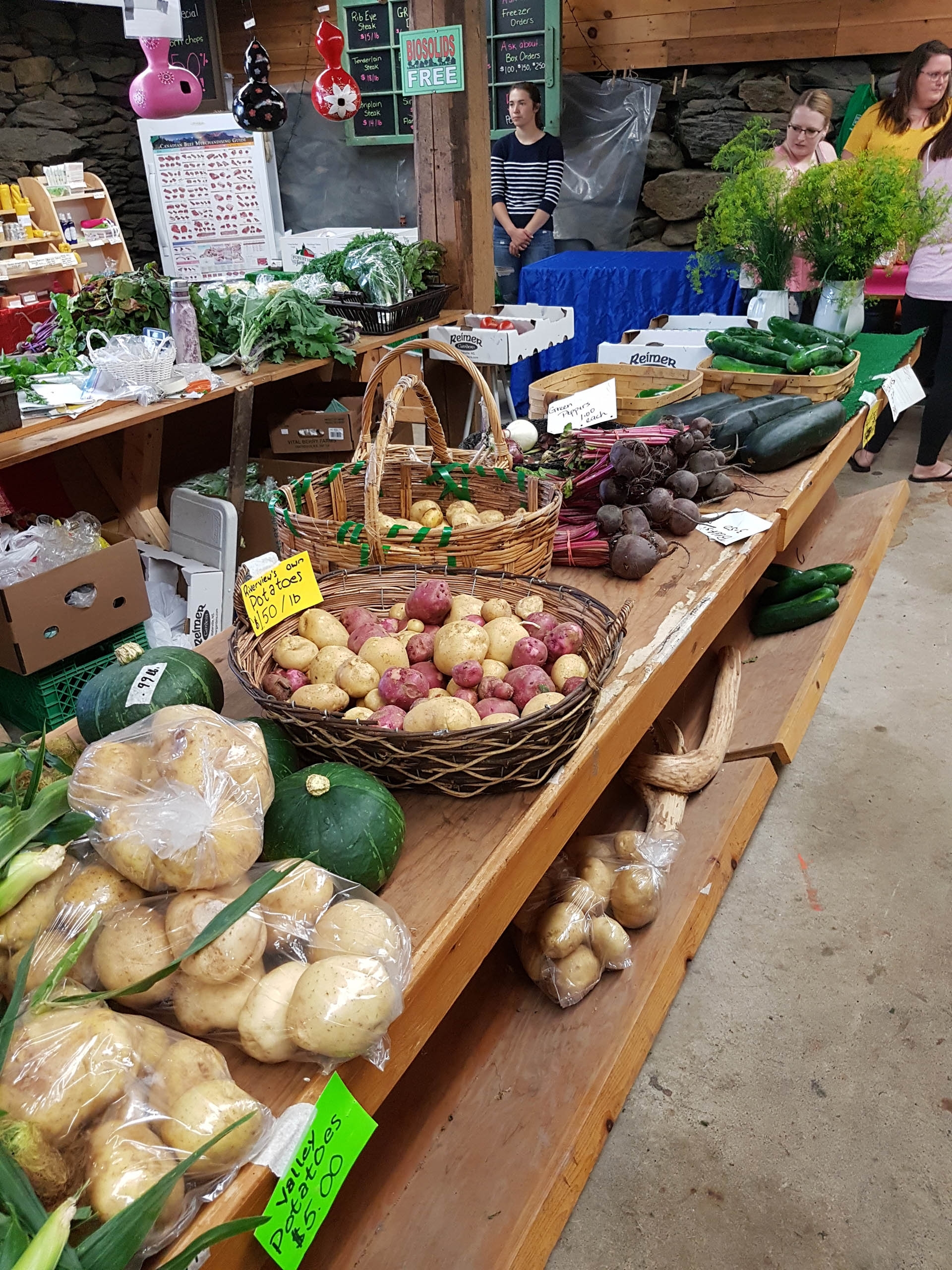 Yarmouth Farmer's Market 3