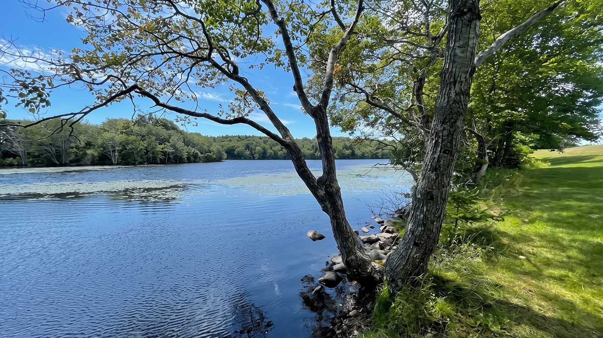 Glenwood Provincial Park 6