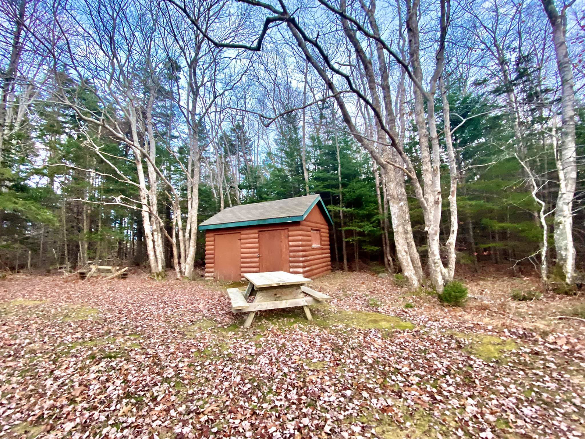 A small log cabin in the woods in Autumn