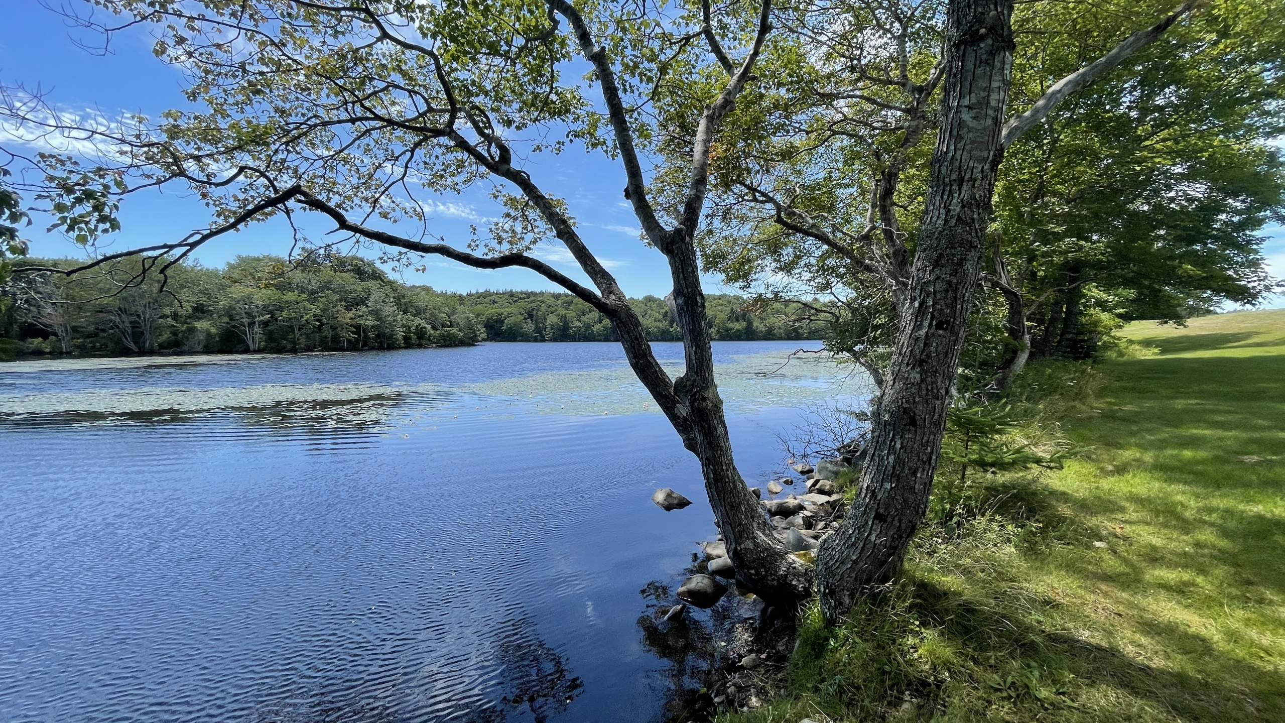 Glenwood Provincial Park 1