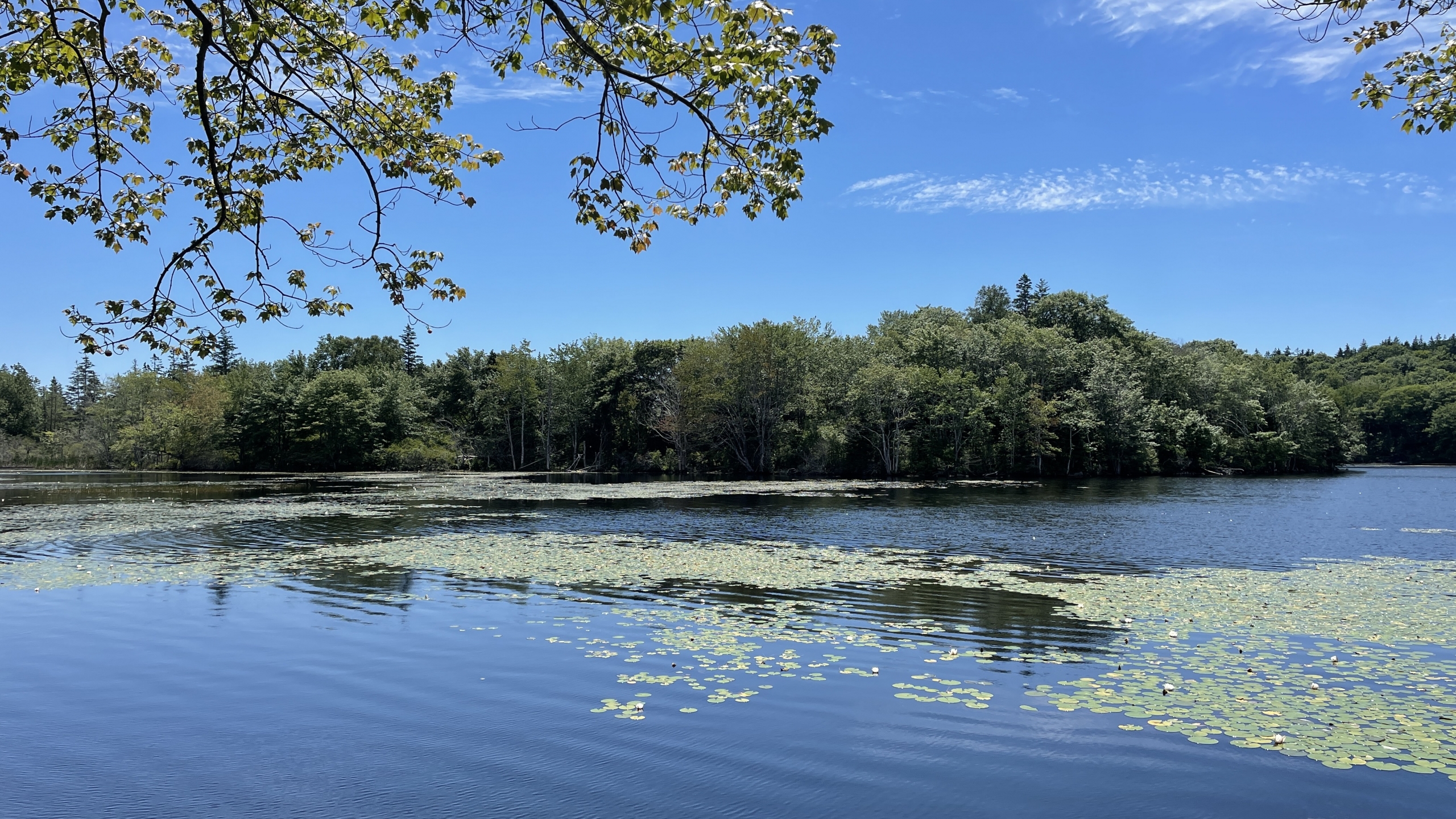 Glenwood Provincial Park 3