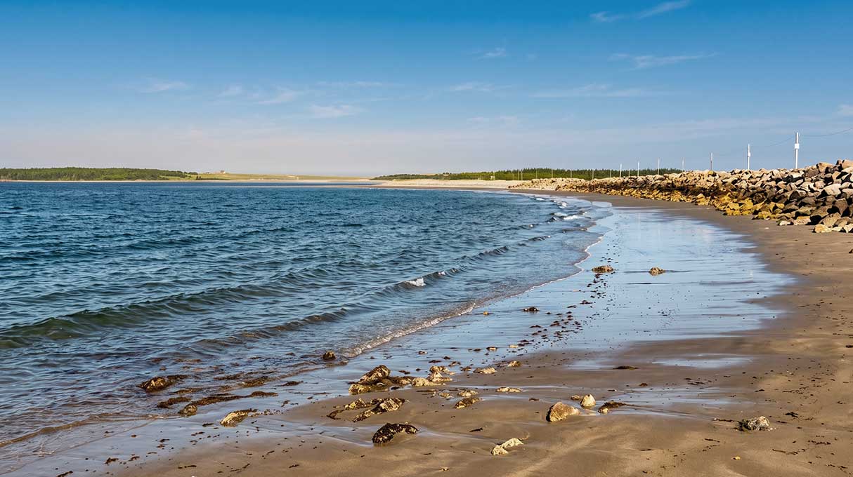 Pinkney’s Point Beach