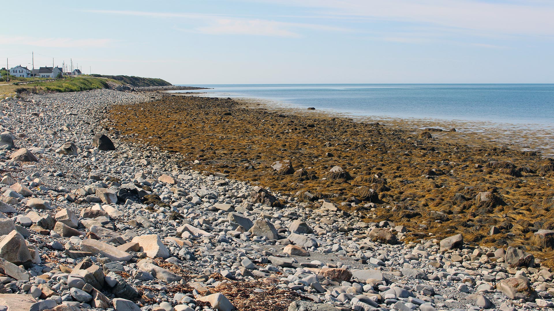 Pinkney's Point Beach 7