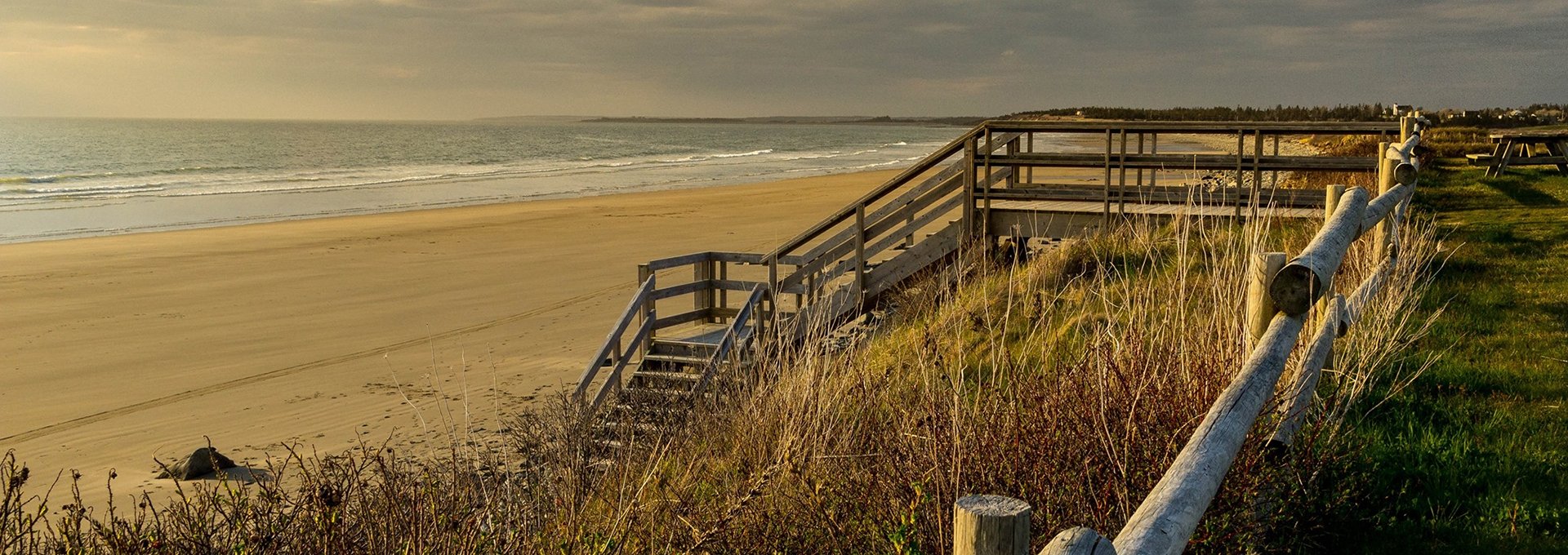 Tall grass and wooden stairs leading down to a sandy beach