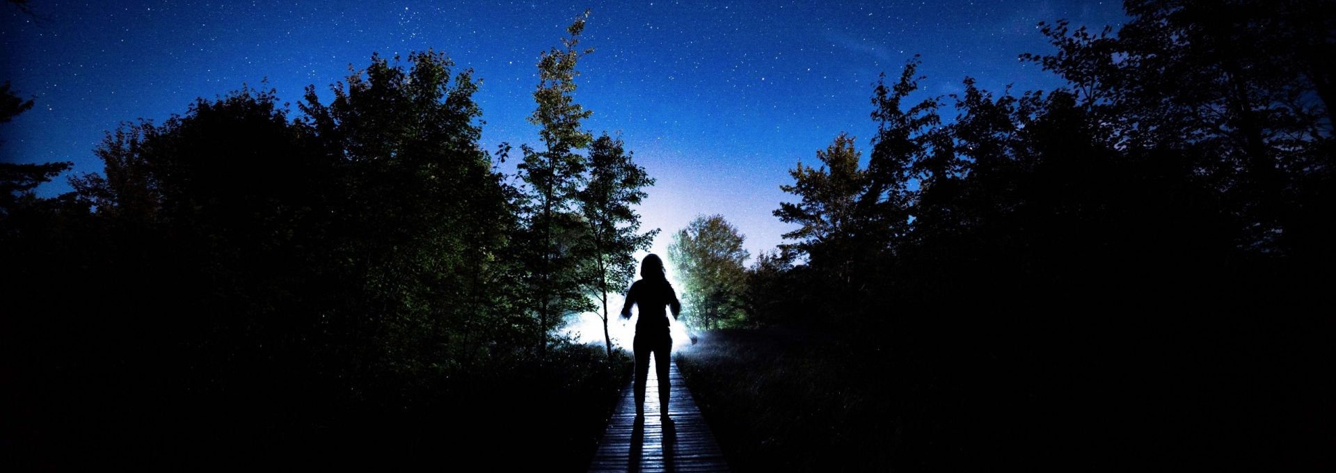 Dark Skies, Stars and Trees