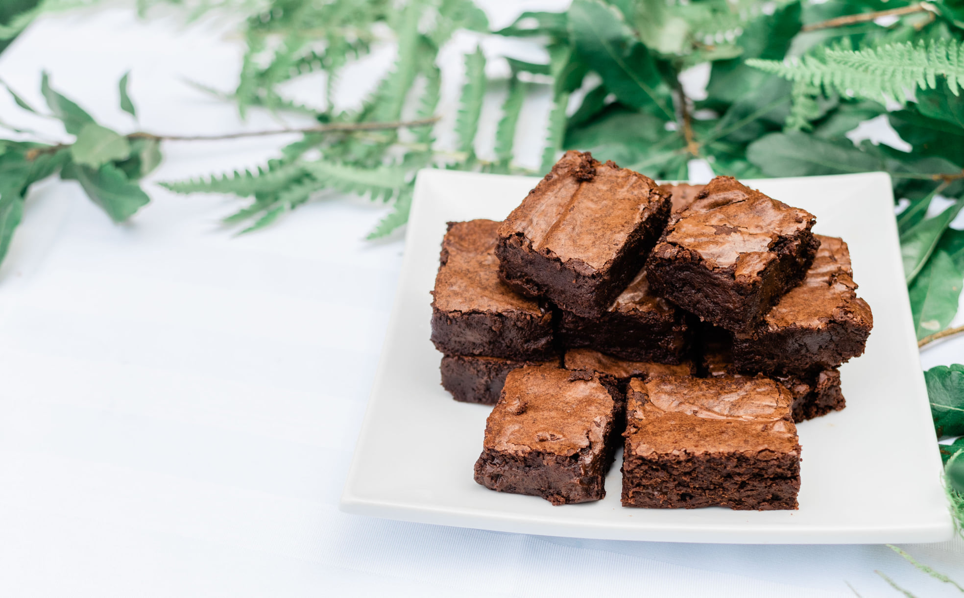 Wild Roots Restaurant 1