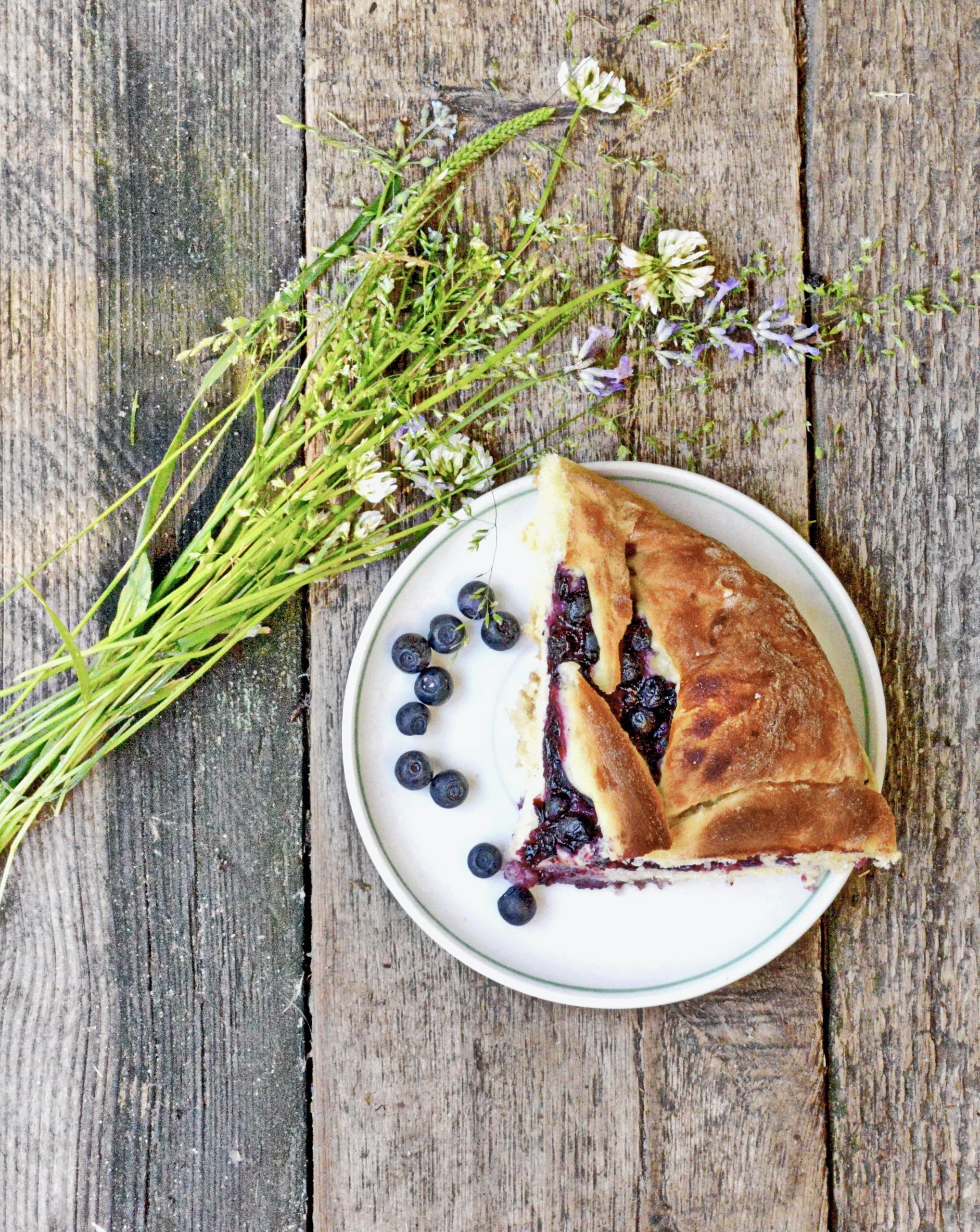 Blueberry Festival