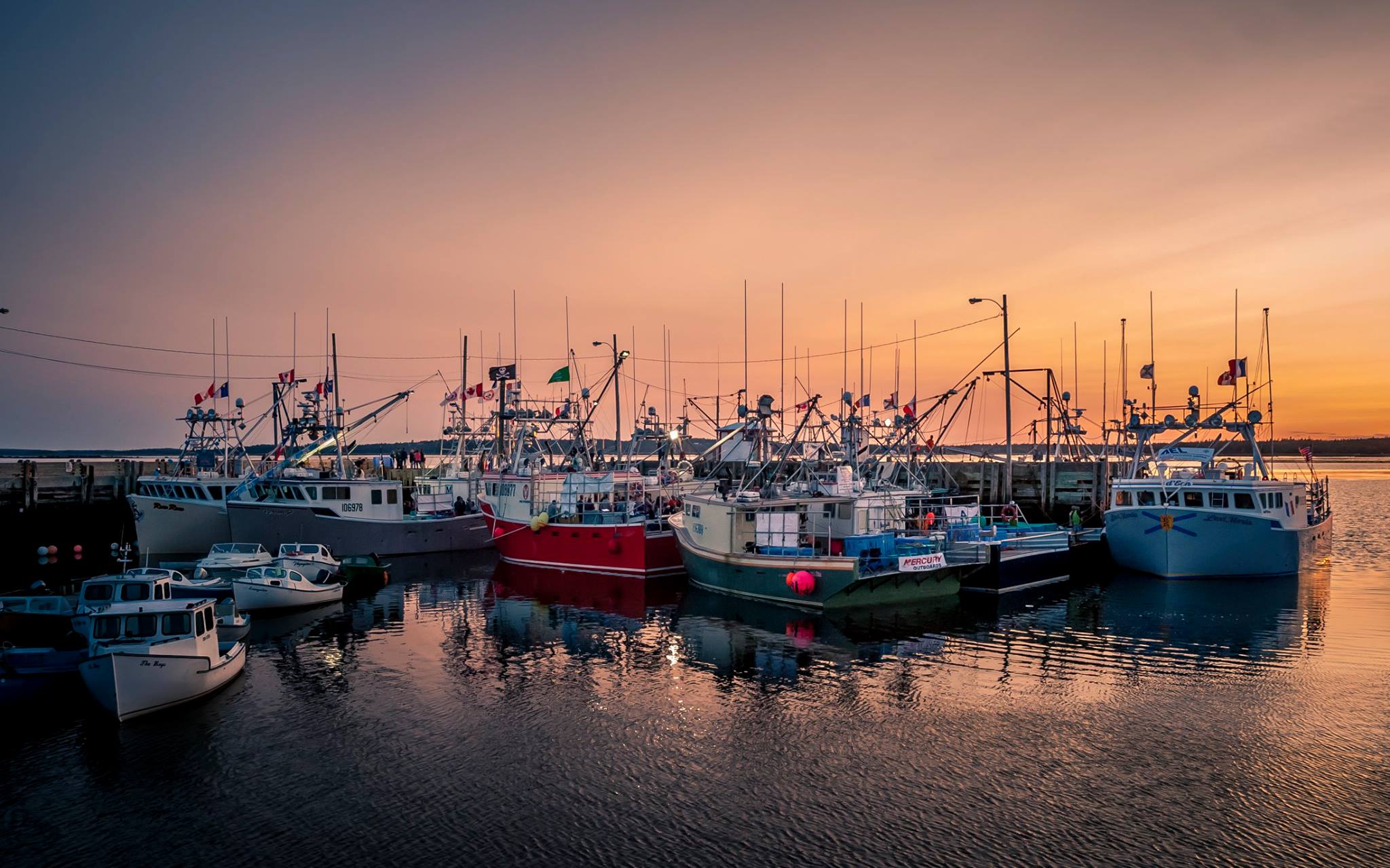 Wedgeport Tuna Tournament & Festival