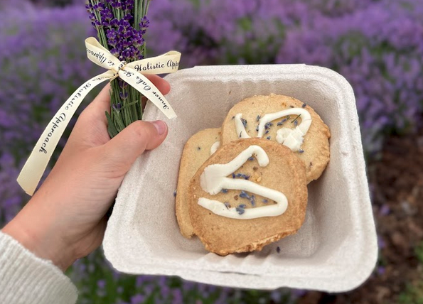 Inner Oaks Holistic Approach 12