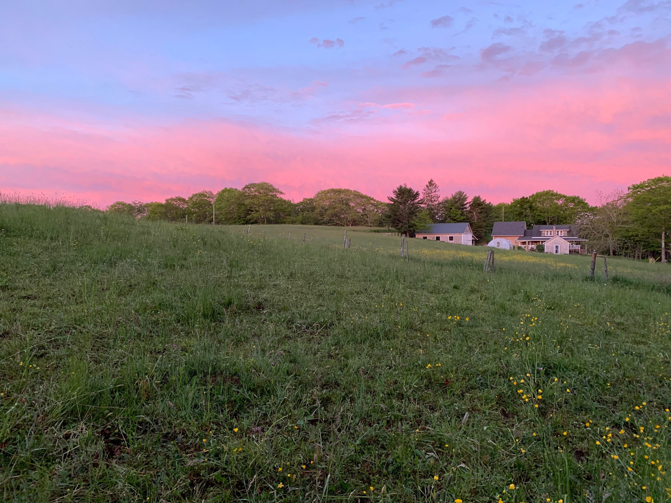 Inner Oaks Holistic Approach 4