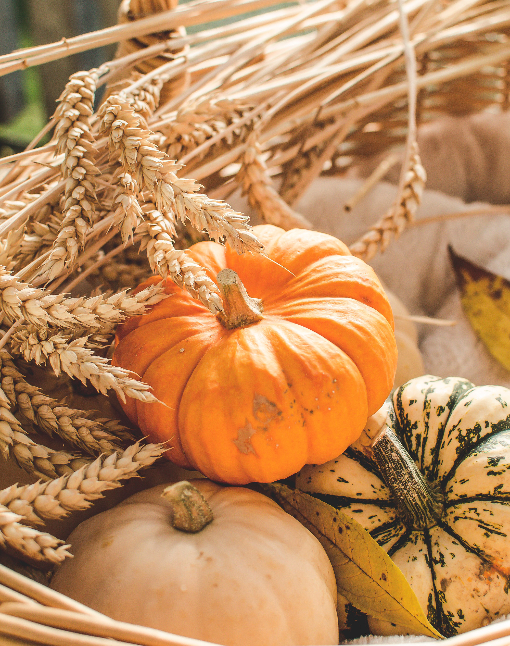 Harvest Feast