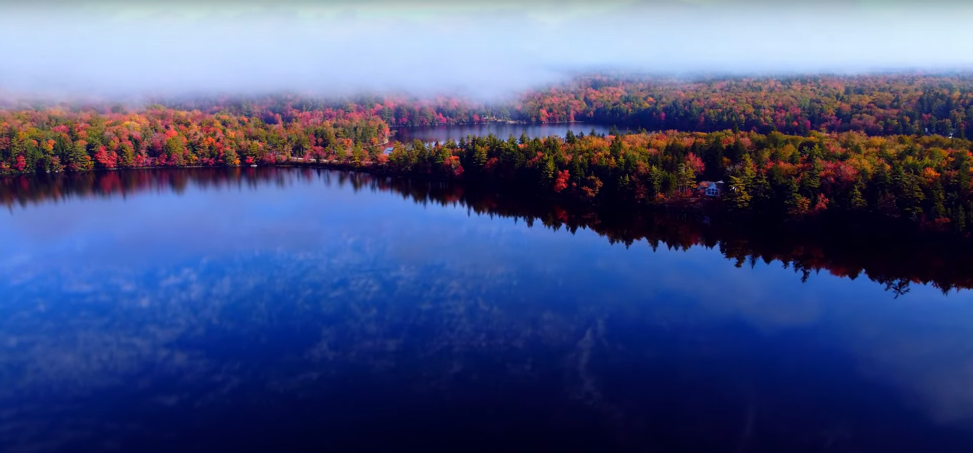 Golden Forest Lodge 1