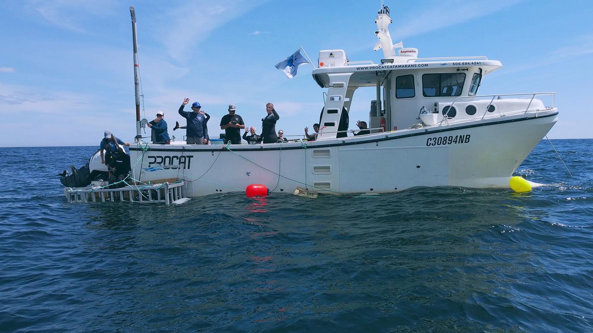 Atlantic Shark Expeditions 2