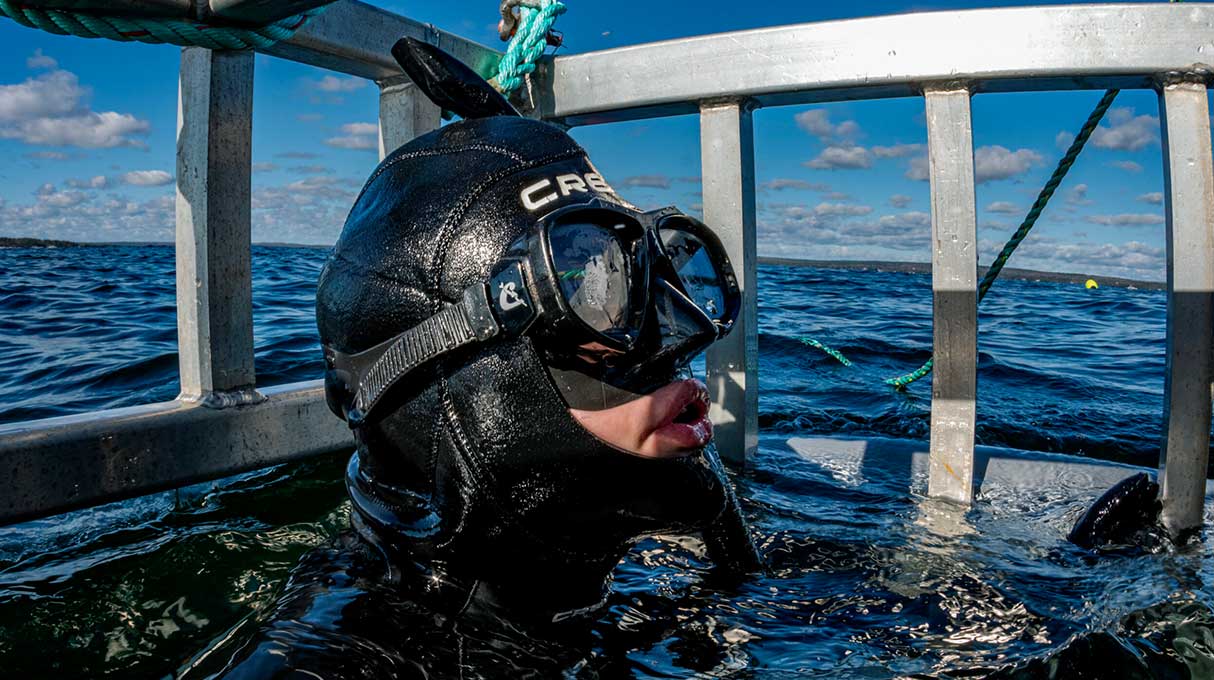 Atlantic Shark Expeditions 3