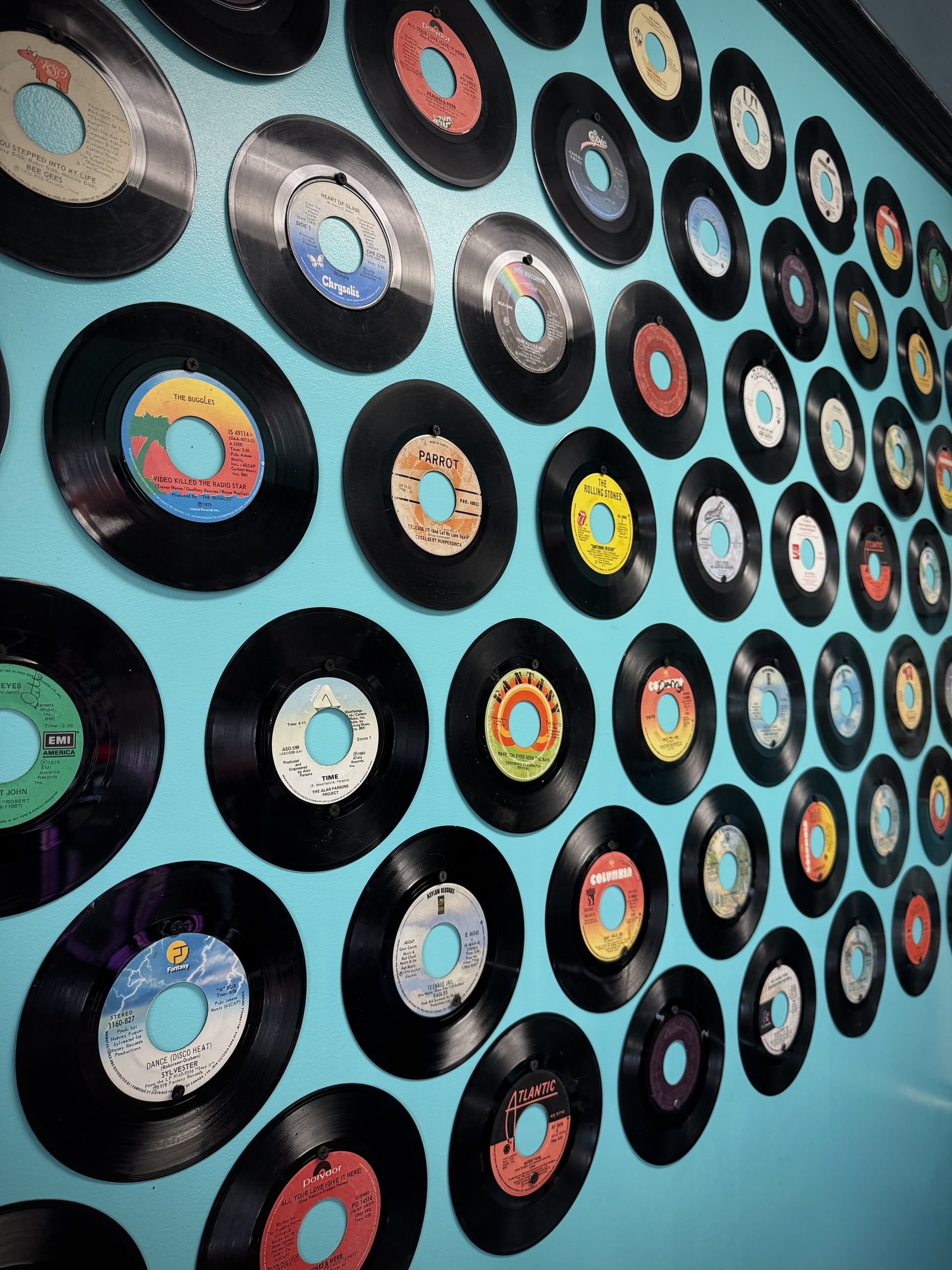 Bailey’s Lick-a-Treat 6