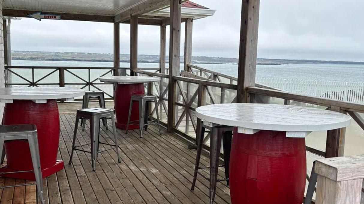 Blueberry Fields Café Cape Forchu 2