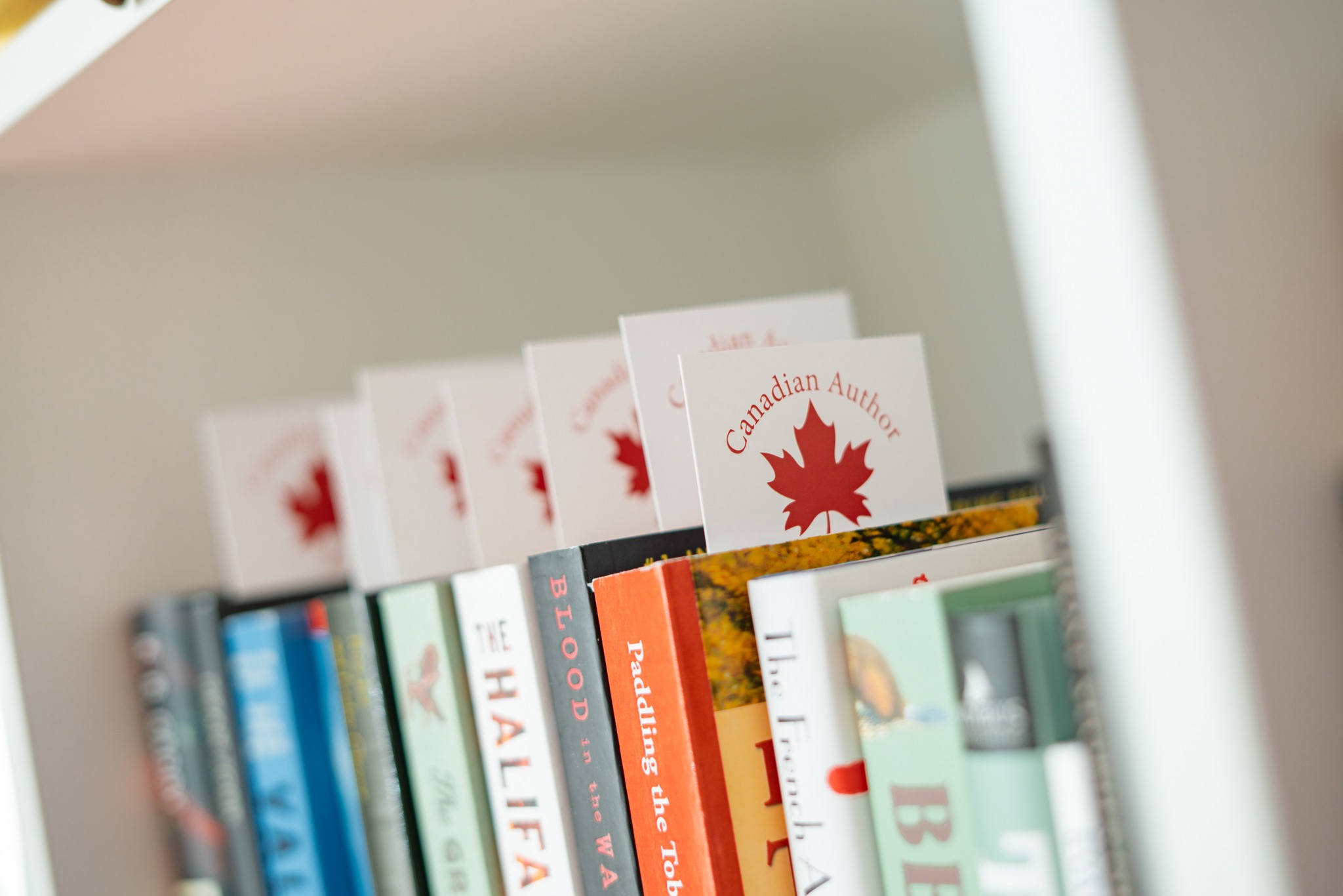 The Wandering Griffin Bookhouse & Shoppe 4