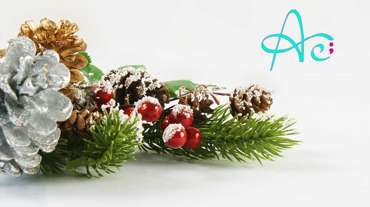 Aidaen’s Place Christmas Market