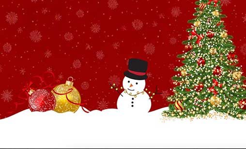 Municipality of the District of Argyle Tree Lighting