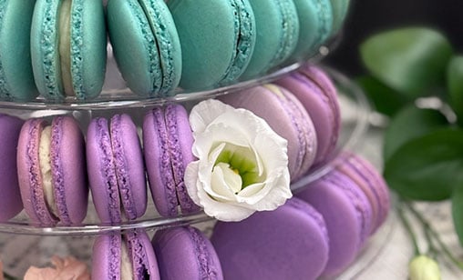 Macaron Workshop