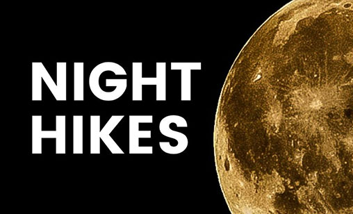 Night Hikes w/ Yarmouth Recreation
