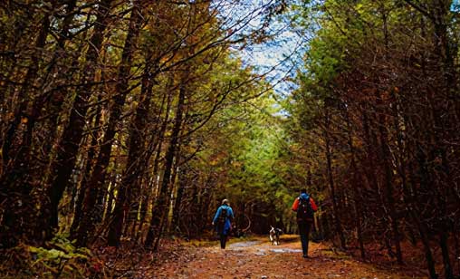 Heritage day Hike at Birchdale 1