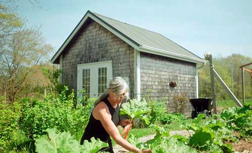 Lavender Educational and Luncheon with Inner Oaks