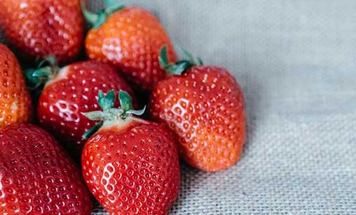 Strawberry Festival at Le Village Acadien
