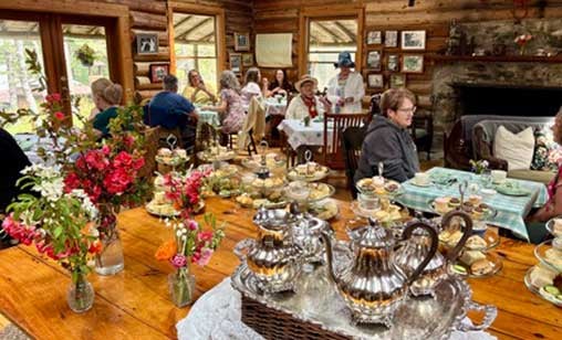 Afternoon Tea at Birchdale