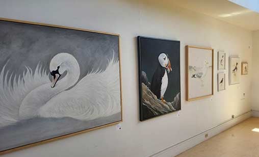 Human Kind Exhibition at Lands End Arts & Cultire Centre