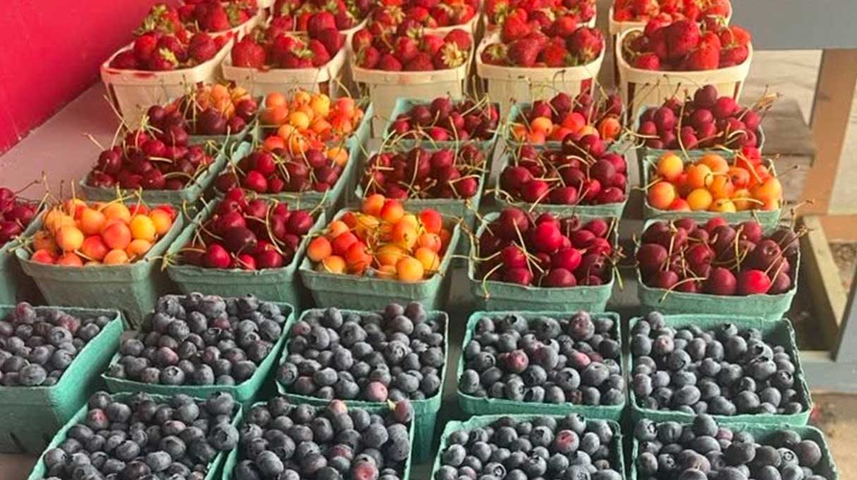 Riverview Produce Farms 1